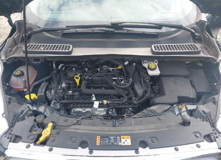 Photo 10 of 2019 Ford Escape SEL (VIN 1FMCU0HDXKUB46518)