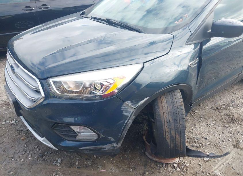 Photo 6 of 2019 Ford Escape SEL (VIN 1FMCU0HDXKUB46518)