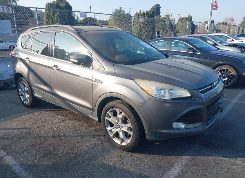 2013 Ford Escape SEL (VIN 1FMCU0HX0DUB24623) main photo