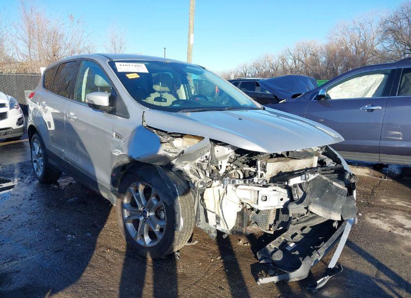 2013 Ford Escape SEL (VIN 1FMCU0HX0DUD71768) main photo