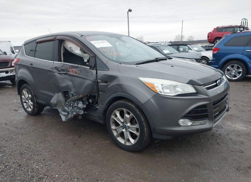 2013 Ford Escape SEL (VIN 1FMCU0HX1DUA46143) main photo