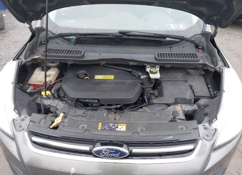 Photo 10 of 2013 Ford Escape SEL (VIN 1FMCU0HX1DUA46143)
