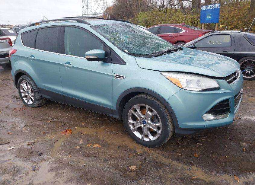 2013 Ford Escape SEL (VIN 1FMCU0HX1DUA71155) main photo