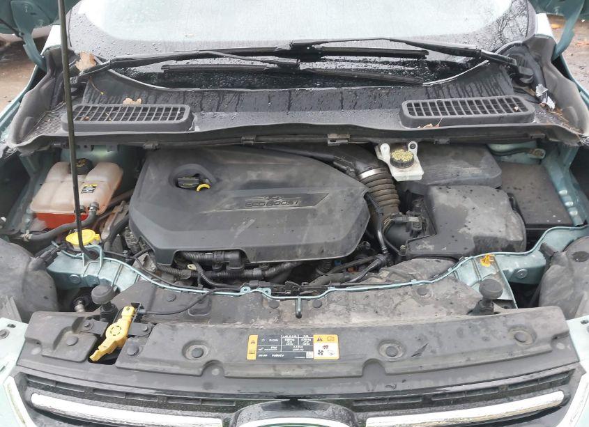 Photo 10 of 2013 Ford Escape SEL (VIN 1FMCU0HX1DUA71155)