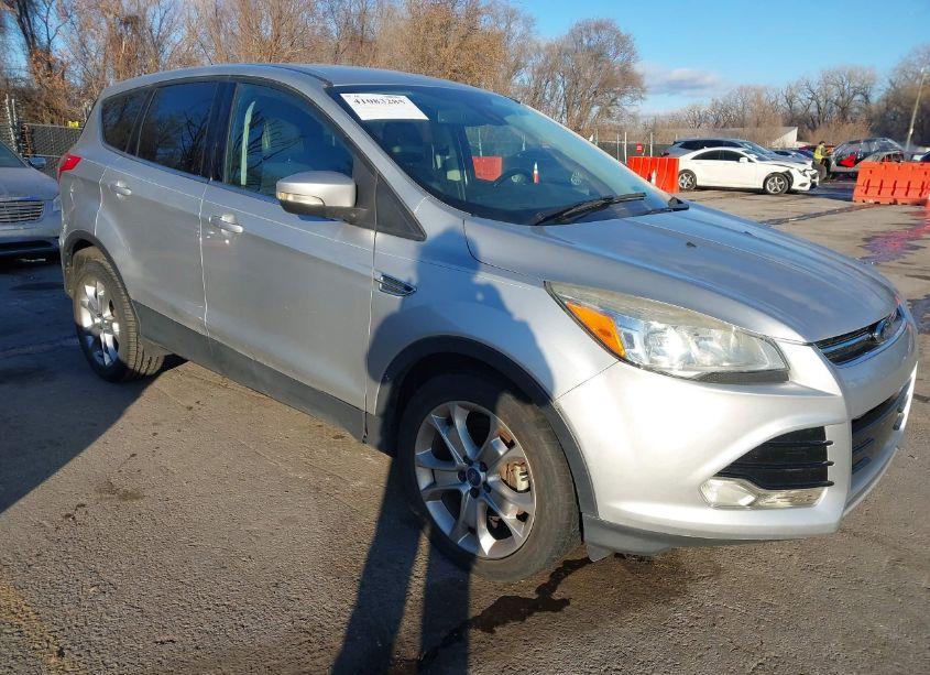 2013 Ford Escape SEL (VIN 1FMCU0HX1DUA88635) main photo