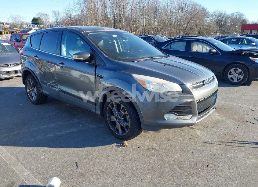 2013 Ford Escape SEL (VIN 1FMCU0HX1DUD50413) main photo