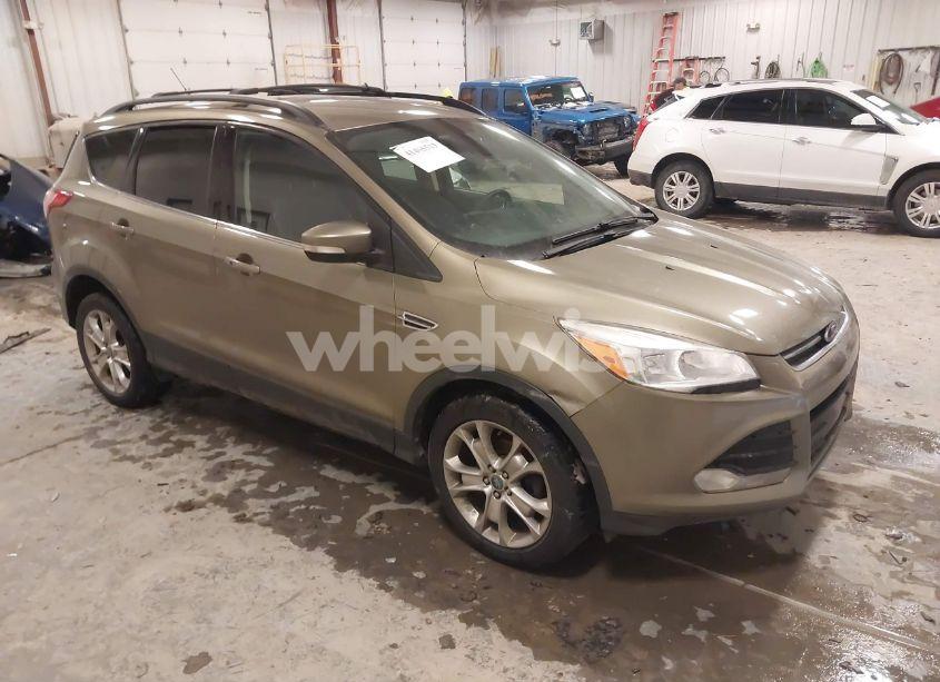 2013 Ford Escape SEL (VIN 1FMCU0HX2DUA58365) main photo