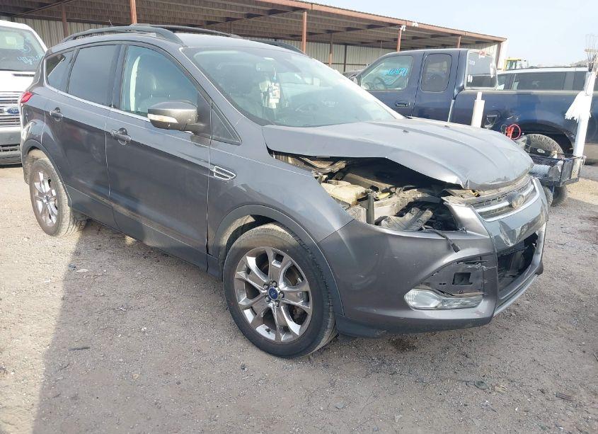 2013 Ford Escape SEL (VIN 1FMCU0HX2DUB63956) main photo