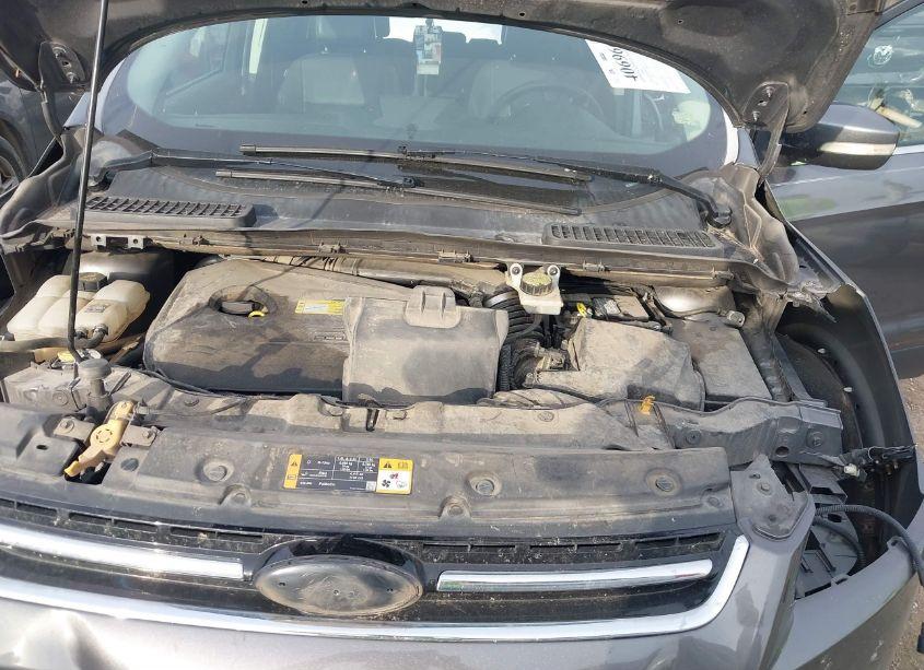 Photo 10 of 2013 Ford Escape SEL (VIN 1FMCU0HX2DUB63956)