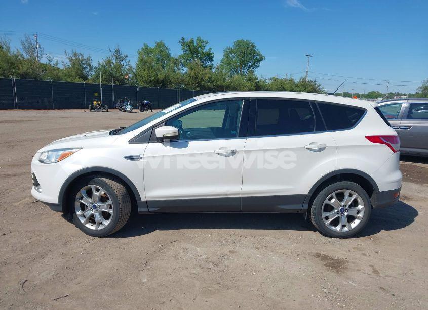 Photo 14 of 2013 Ford Escape SEL (VIN 1FMCU0HX2DUD50372)