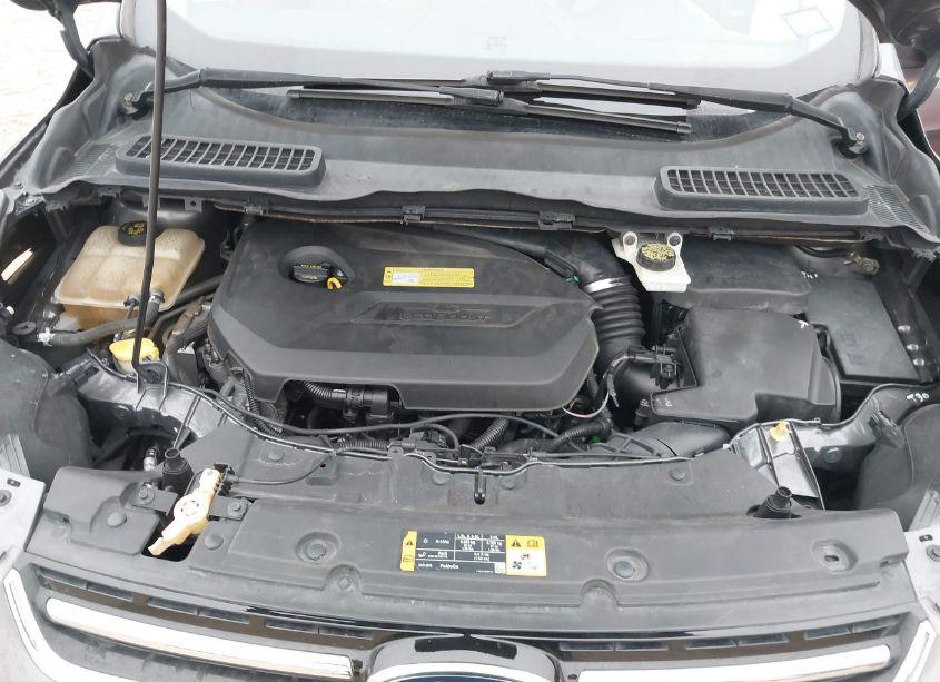 Photo 10 of 2013 Ford Escape SEL (VIN 1FMCU0HX3DUA09417)