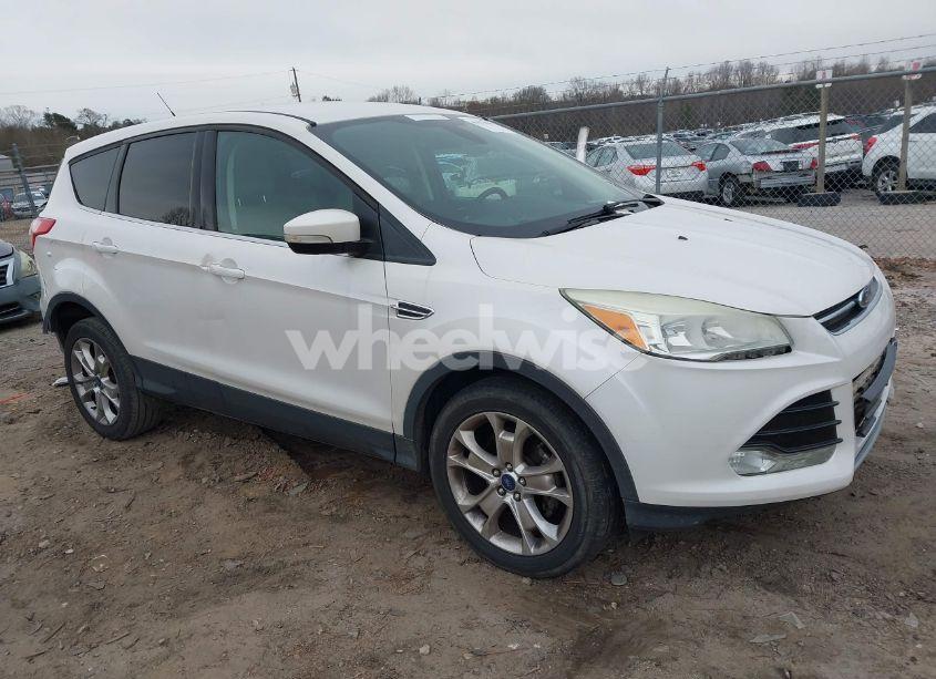2013 Ford Escape SEL (VIN 1FMCU0HX3DUA81315) main photo