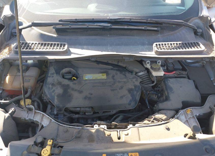 Photo 10 of 2013 Ford Escape SEL (VIN 1FMCU0HX3DUB31873)