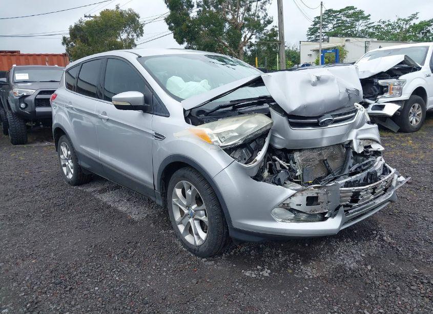 2013 Ford Escape SEL (VIN 1FMCU0HX3DUB57373) main photo