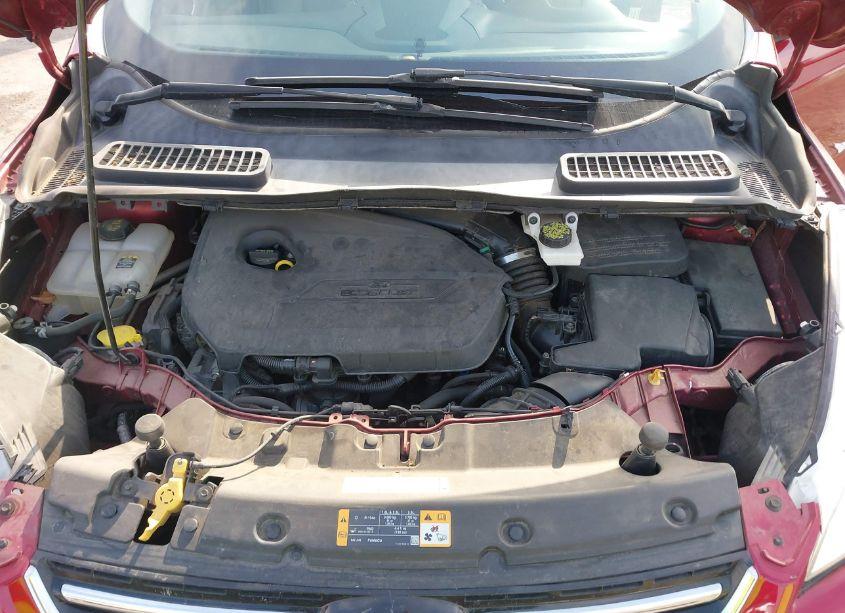 Photo 10 of 2013 Ford Escape SEL (VIN 1FMCU0HX3DUB77915)