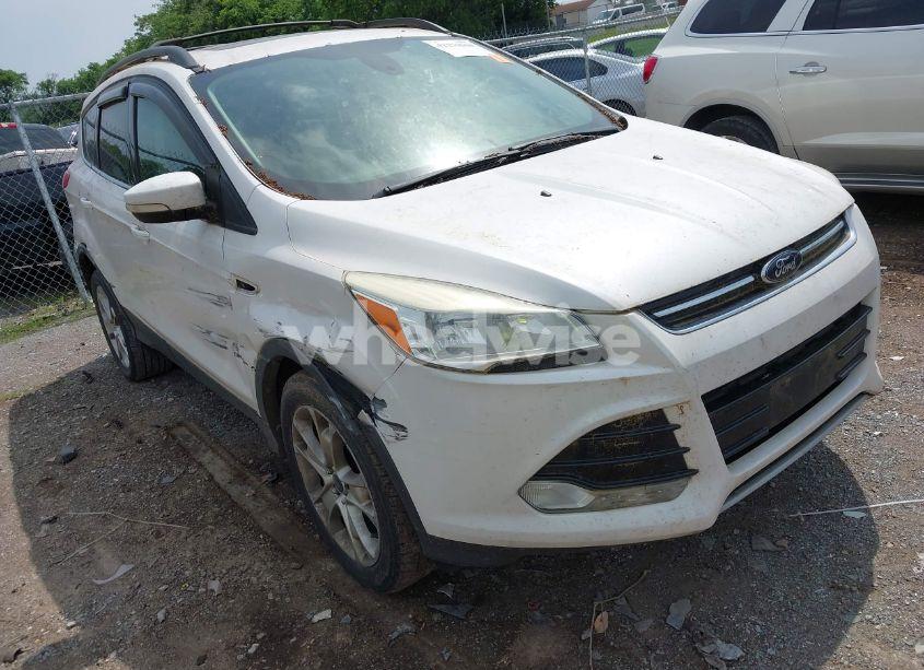 2013 Ford Escape SEL (VIN 1FMCU0HX3DUC10976) main photo