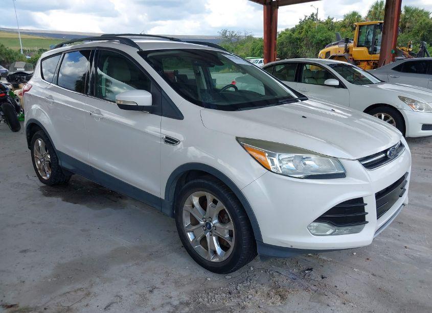 2013 Ford Escape SEL (VIN 1FMCU0HX4DUA51854) main photo