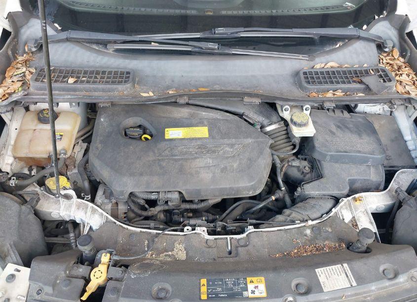 Photo 10 of 2013 Ford Escape SEL (VIN 1FMCU0HX4DUA51854)