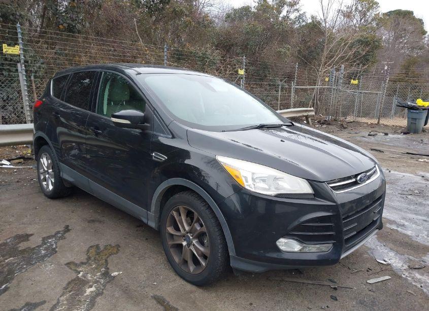2013 Ford Escape SEL (VIN 1FMCU0HX4DUB50478) main photo