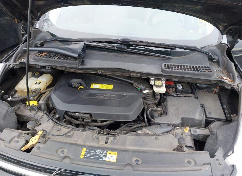 Photo 10 of 2013 Ford Escape SEL (VIN 1FMCU0HX4DUB50478)