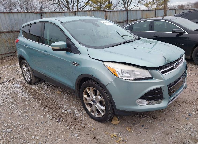 2013 Ford Escape SEL (VIN 1FMCU0HX4DUC60379) main photo