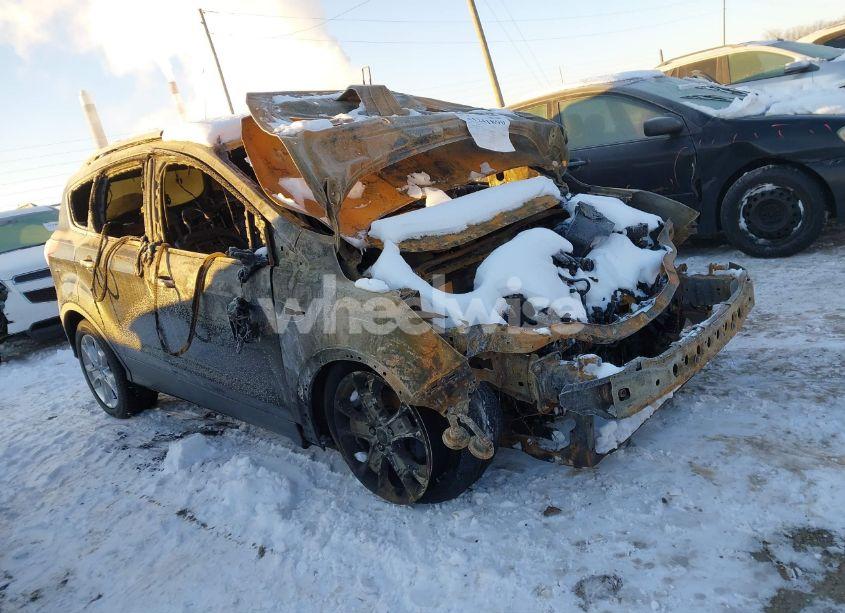 2013 Ford Escape SEL (VIN 1FMCU0HX5DUC33823) main photo