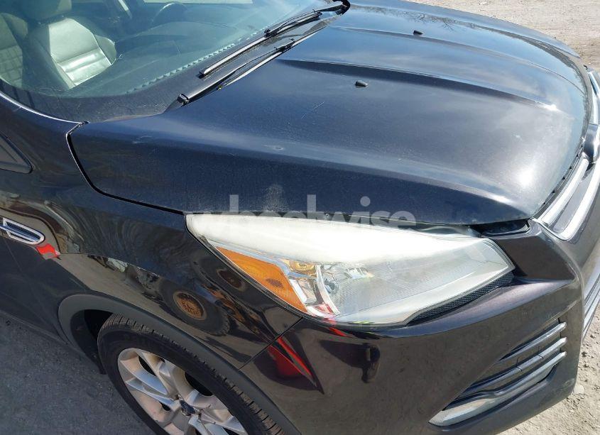 Photo 13 of 2013 Ford Escape SEL (VIN 1FMCU0HX5DUD23585)