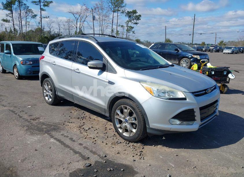 2013 Ford Escape SEL (VIN 1FMCU0HX6DUB20981) main photo