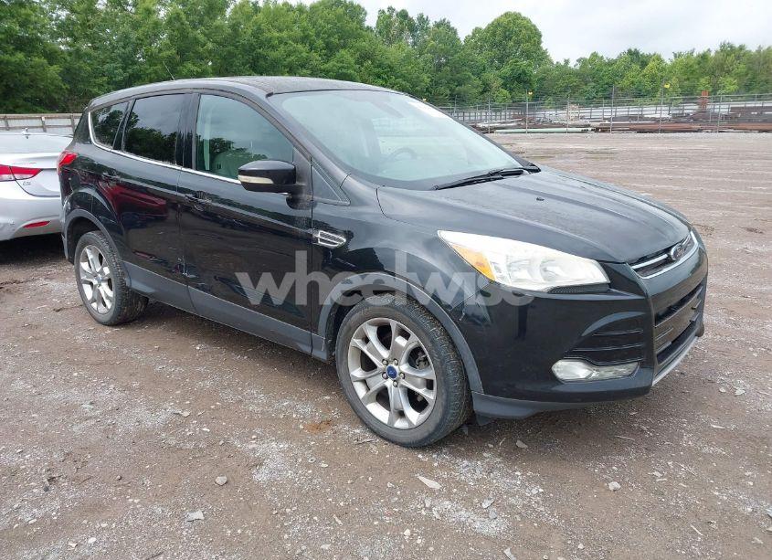 2013 Ford Escape SEL (VIN 1FMCU0HX6DUB47419) main photo