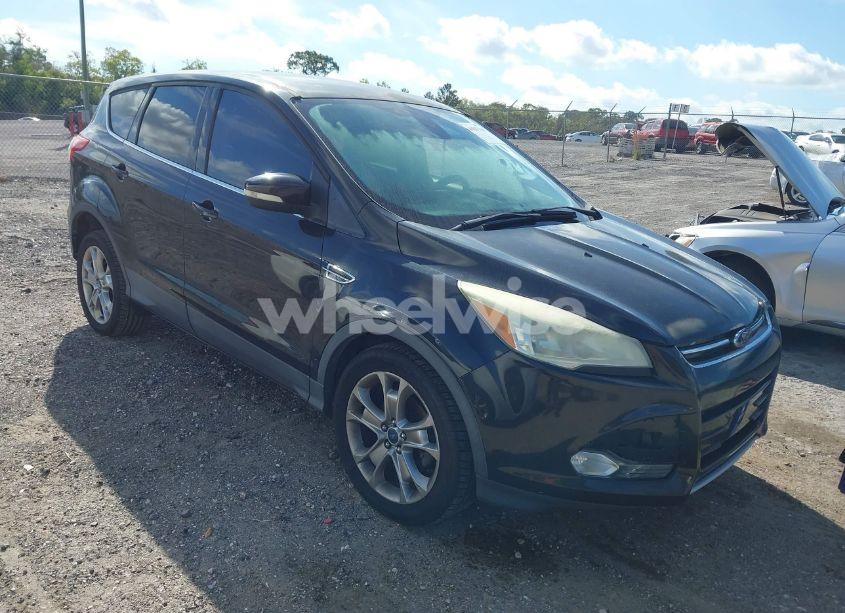 2013 Ford Escape SEL (VIN 1FMCU0HX6DUC67639) main photo