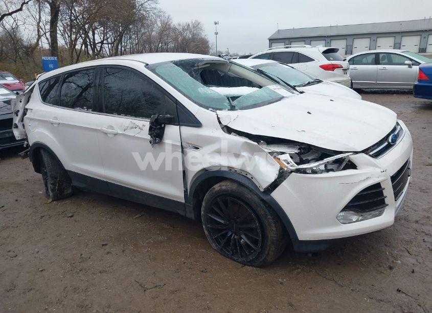 2013 Ford Escape SEL (VIN 1FMCU0HX7DUB53388) main photo