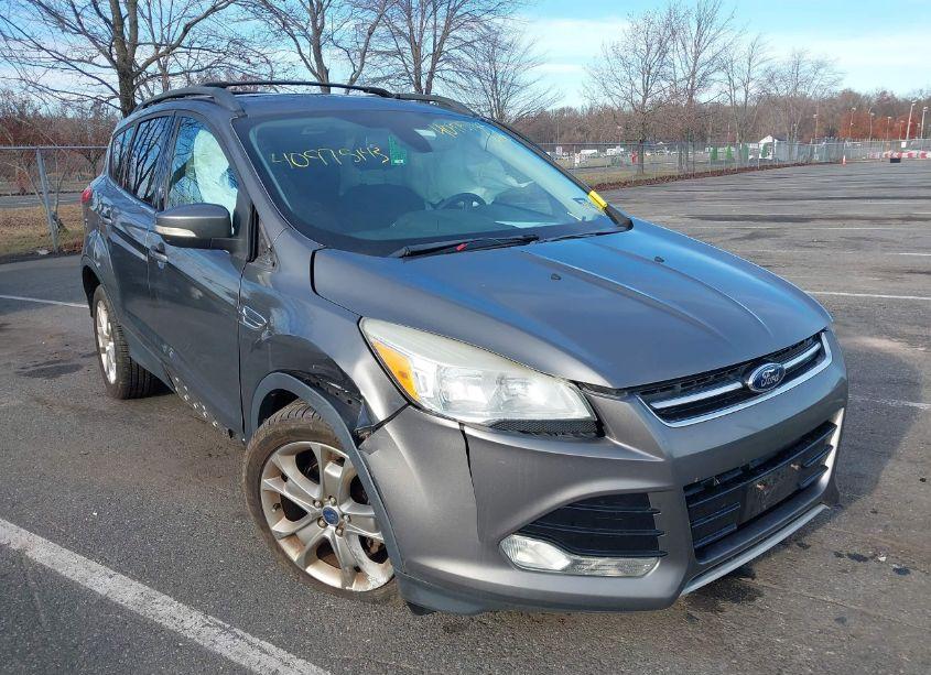 2013 Ford Escape SEL (VIN 1FMCU0HX7DUC66600) main photo