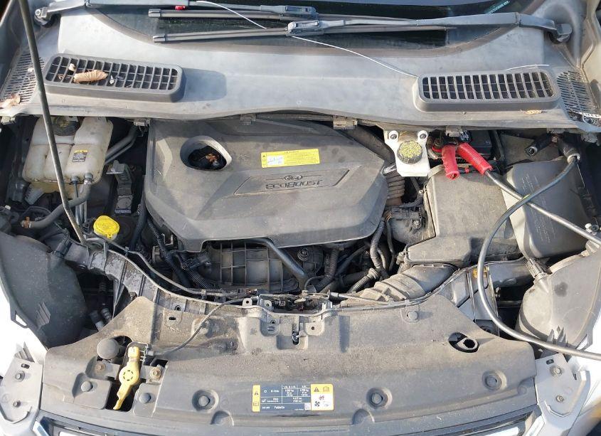 Photo 10 of 2013 Ford Escape SEL (VIN 1FMCU0HX7DUC66600)