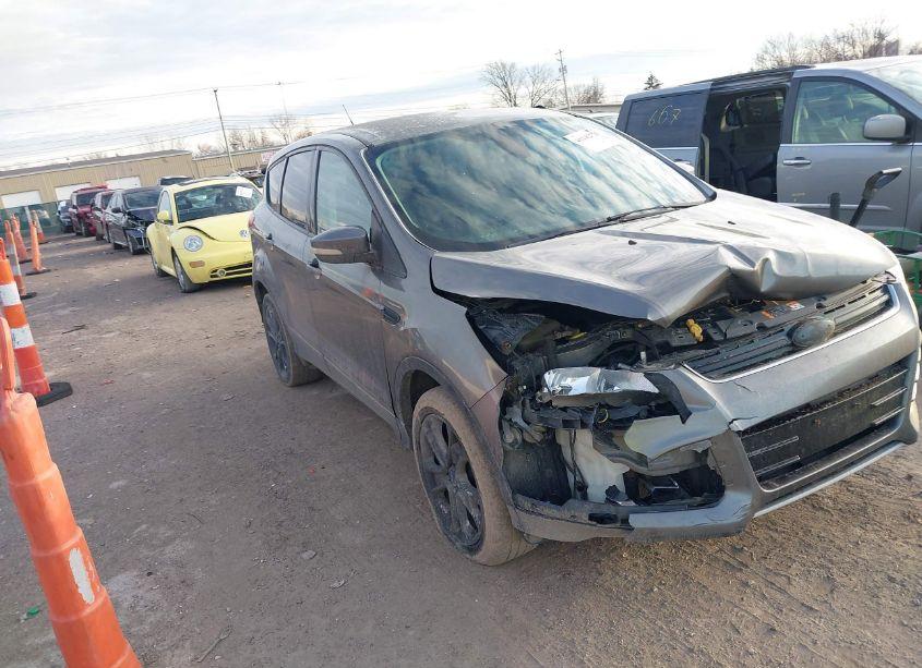 2013 Ford Escape SEL (VIN 1FMCU0HX7DUD24527) main photo