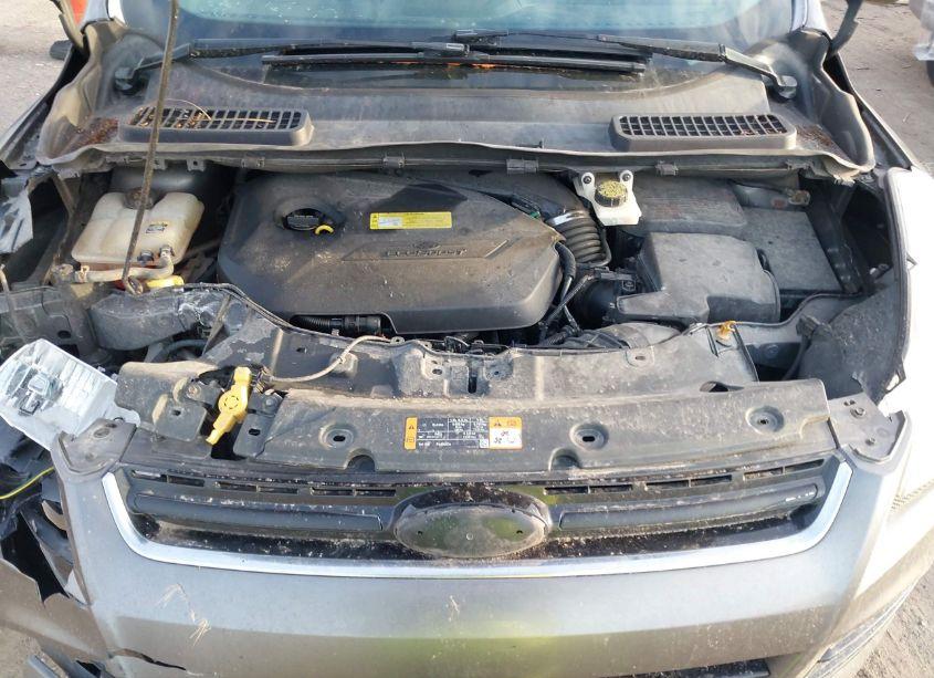 Photo 10 of 2013 Ford Escape SEL (VIN 1FMCU0HX7DUD24527)