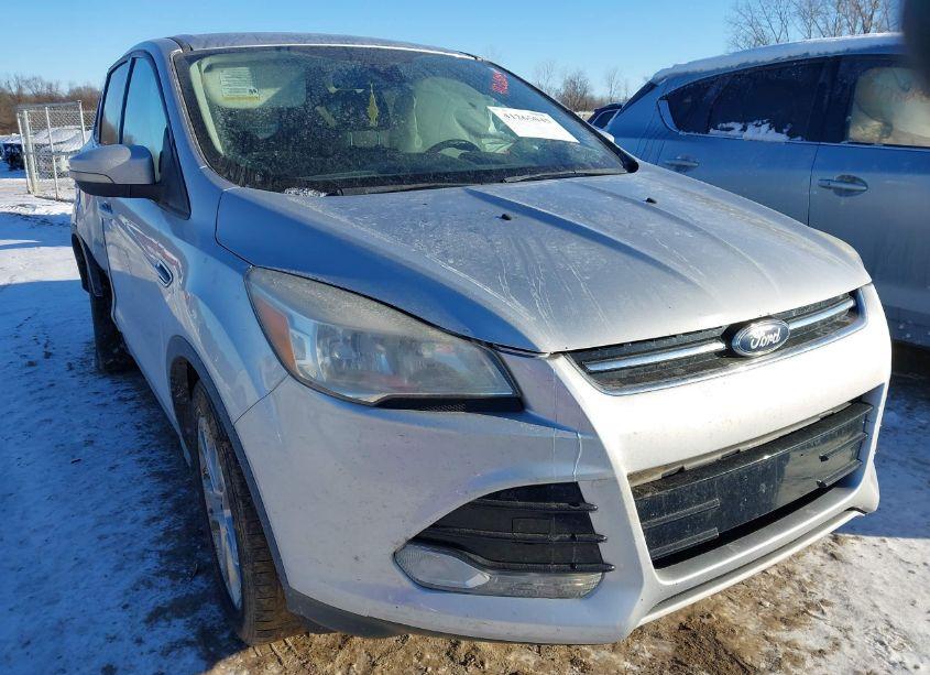 2013 Ford Escape SEL (VIN 1FMCU0HX8DUA88292) main photo