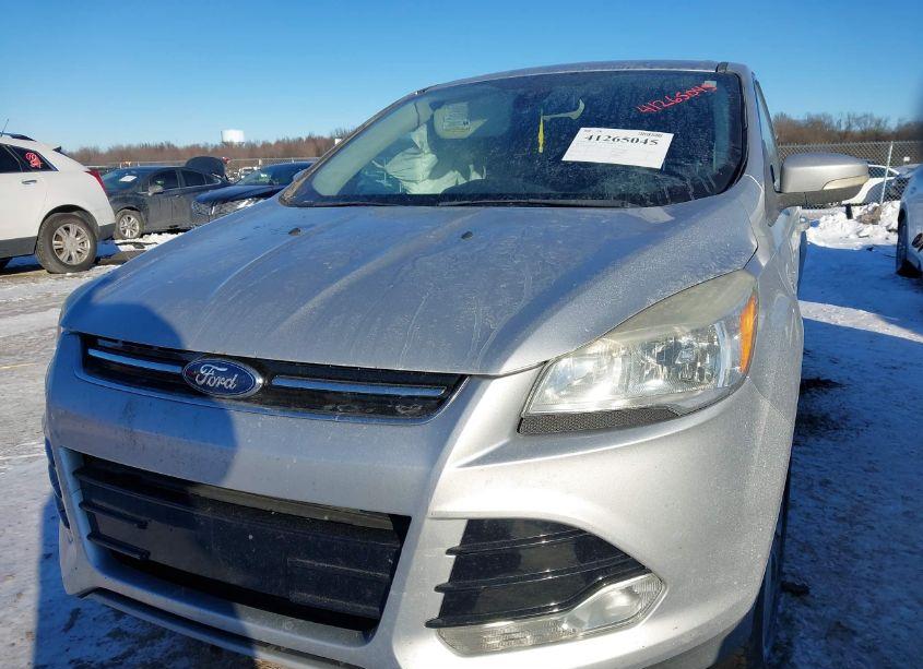 Photo 2 of 2013 Ford Escape SEL (VIN 1FMCU0HX8DUA88292)