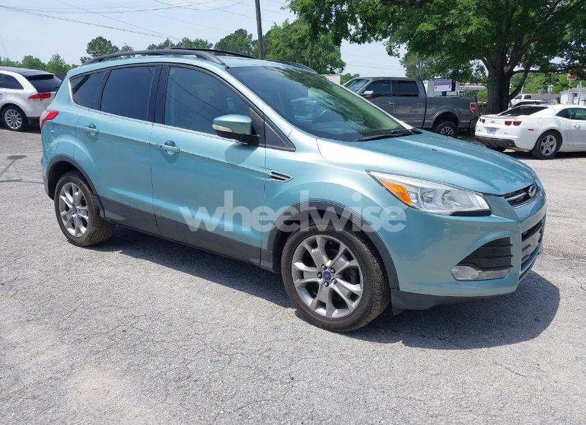 2013 Ford Escape SEL (VIN 1FMCU0HX8DUB05642) main photo