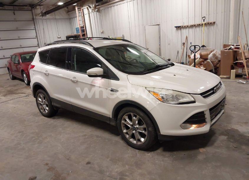 2013 Ford Escape SEL (VIN 1FMCU0HX8DUB08315) main photo