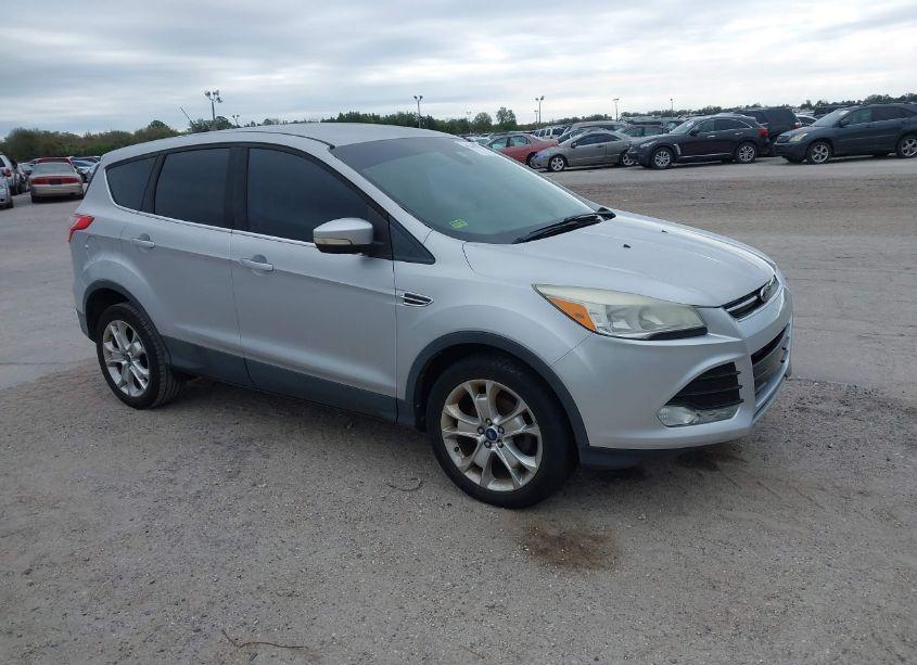2013 Ford Escape SEL (VIN 1FMCU0HX8DUB43842) main photo
