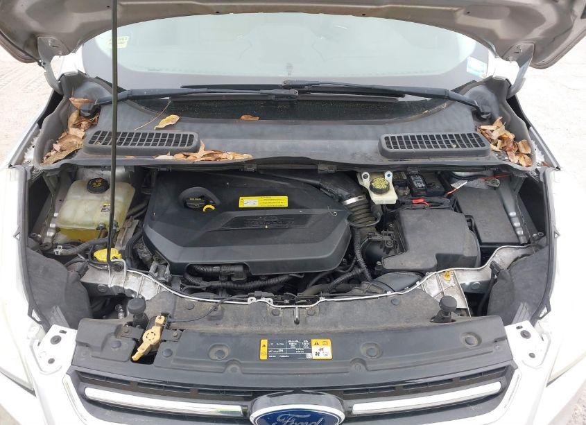 Photo 10 of 2013 Ford Escape SEL (VIN 1FMCU0HX8DUB43842)