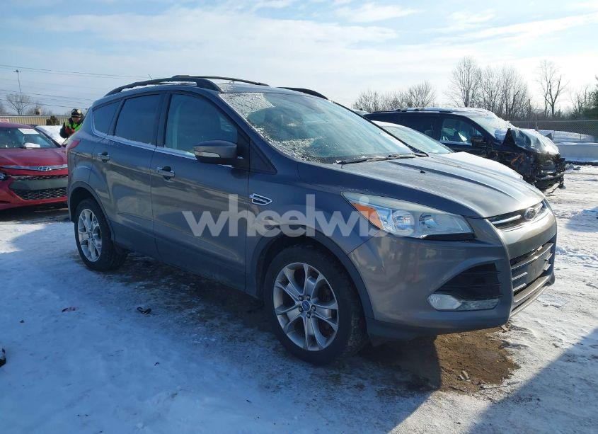 2013 Ford Escape SEL (VIN 1FMCU0HX8DUC22783) main photo
