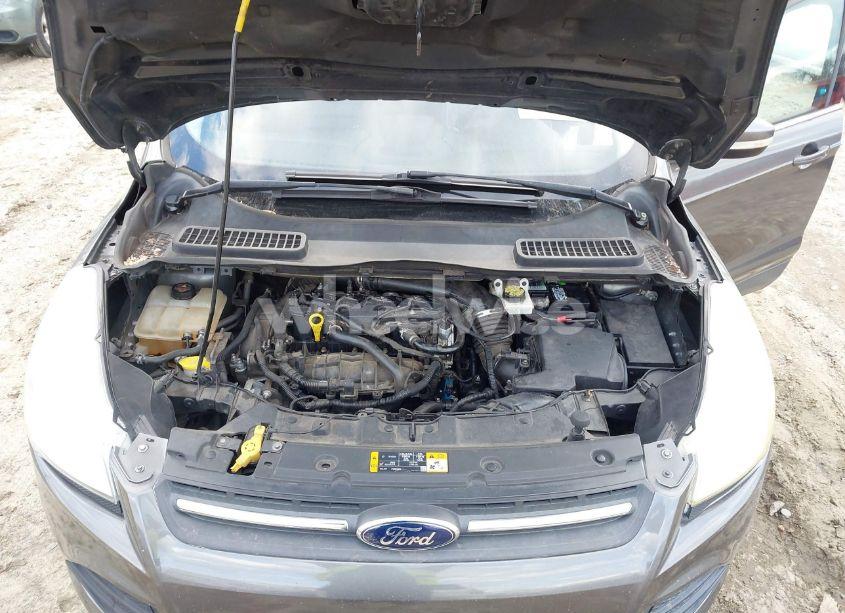 Photo 10 of 2013 Ford Escape SEL (VIN 1FMCU0HX8DUD68360)