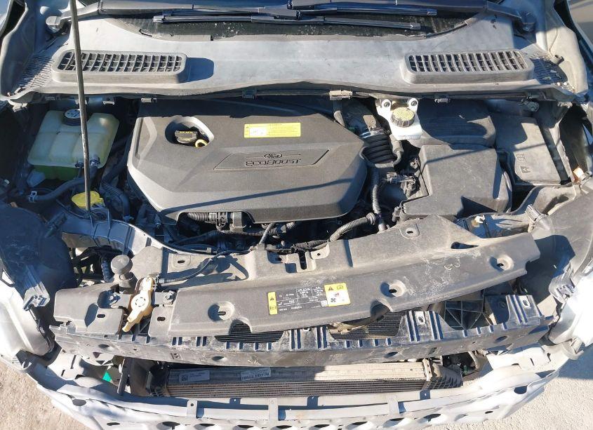 Photo 10 of 2013 Ford Escape SEL (VIN 1FMCU0HXXDUA40440)