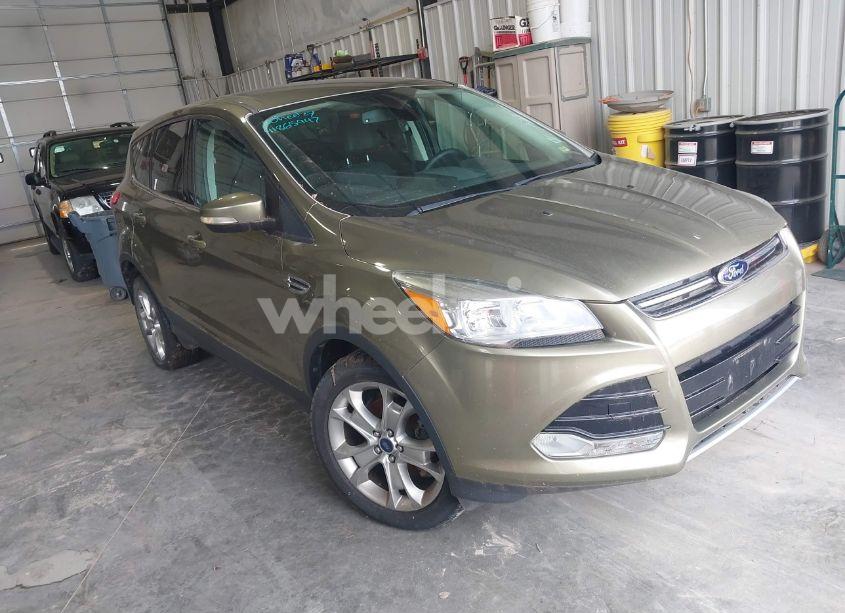 2013 Ford Escape SEL (VIN 1FMCU0HXXDUD41029) main photo
