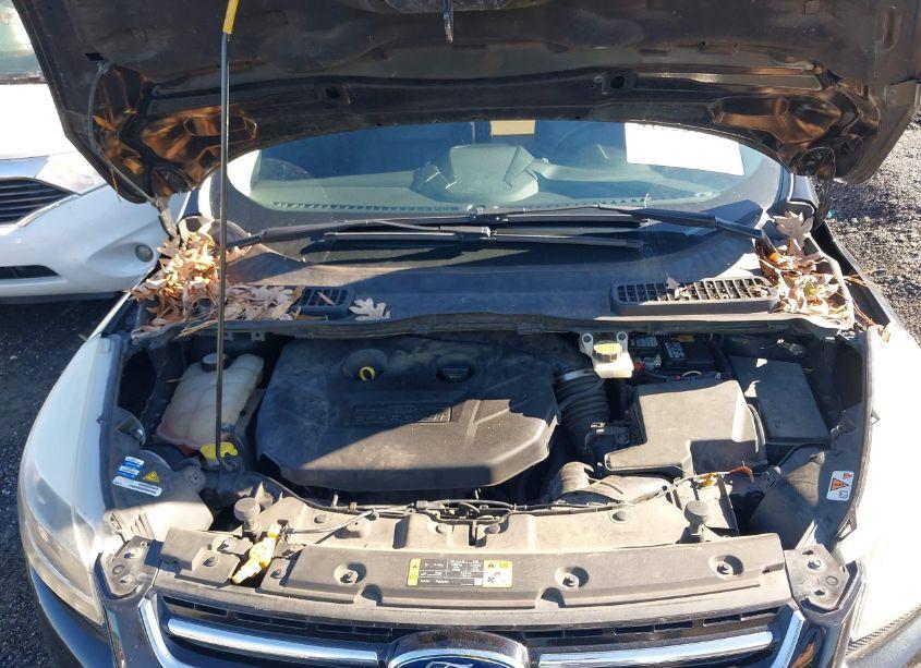 Photo 10 of 2013 Ford Escape TITANIUM (VIN 1FMCU0J92DUB94782)