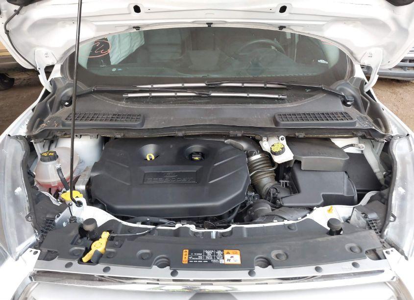 Photo 9 of 2019 Ford Escape TITANIUM (VIN 1FMCU0J92KUC09987)