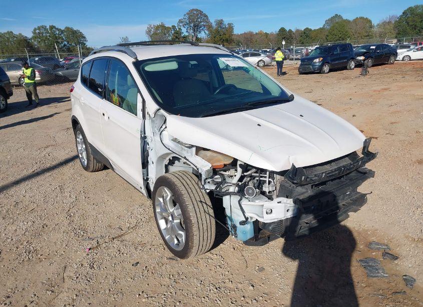2014 Ford Escape TITANIUM (VIN 1FMCU0J93EUC81849) main photo