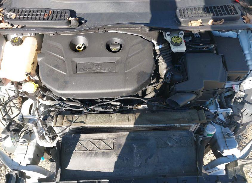 Photo 10 of 2014 Ford Escape TITANIUM (VIN 1FMCU0J93EUC81849)