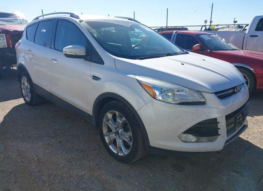 2014 Ford Escape TITANIUM (VIN 1FMCU0J94EUA13019) main photo